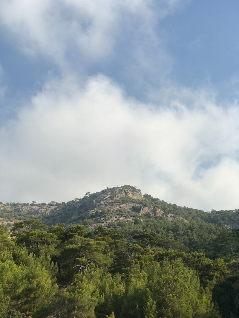Silifke: Akdeniz'in Güzelliklerini Keşfedin Silifke: Akdeniz'in Güzelliklerini Keşfedin